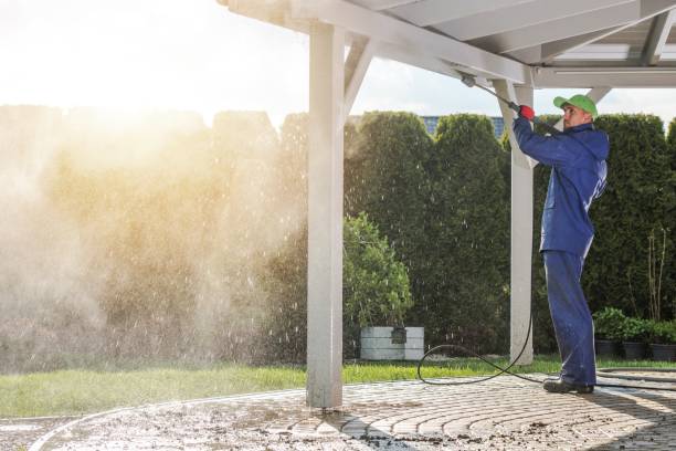 Trusted Hays, MT  Pressure Washing Services Experts